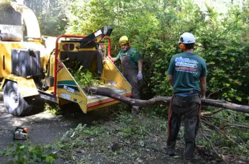 tree services Fredonia